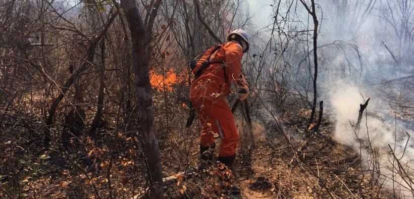 Uso dos drones no combate a incêndios